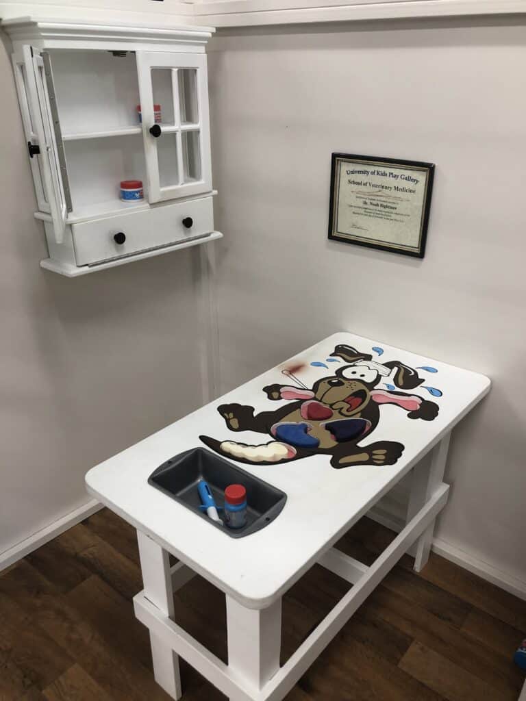 Kids Play Gallery A Fun indoor play area in Gaithersburg Maryland animal hospital