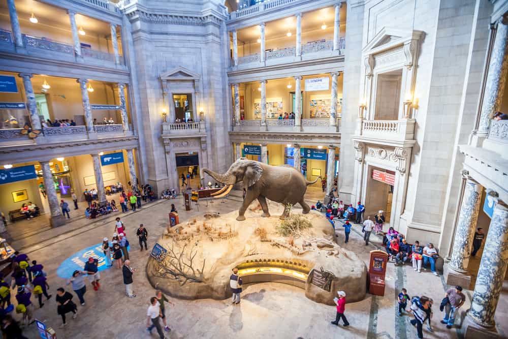 kids museum