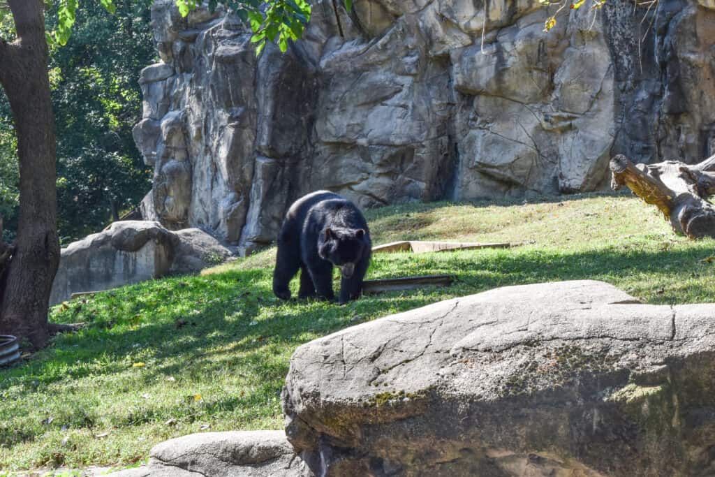 day trips from baltimore