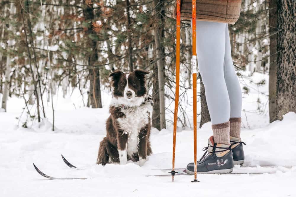 deep creek lake things to do, cross country skiing