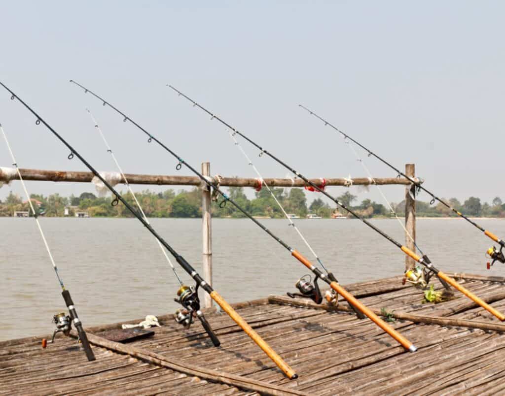 fishing charters in maryland