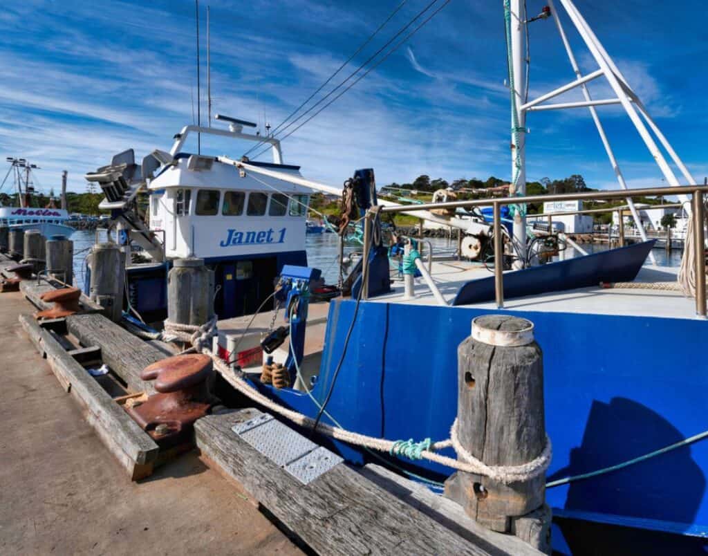 fishing charters in maryland