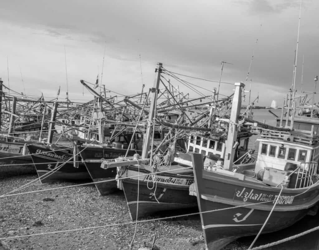 fishing charters in maryland