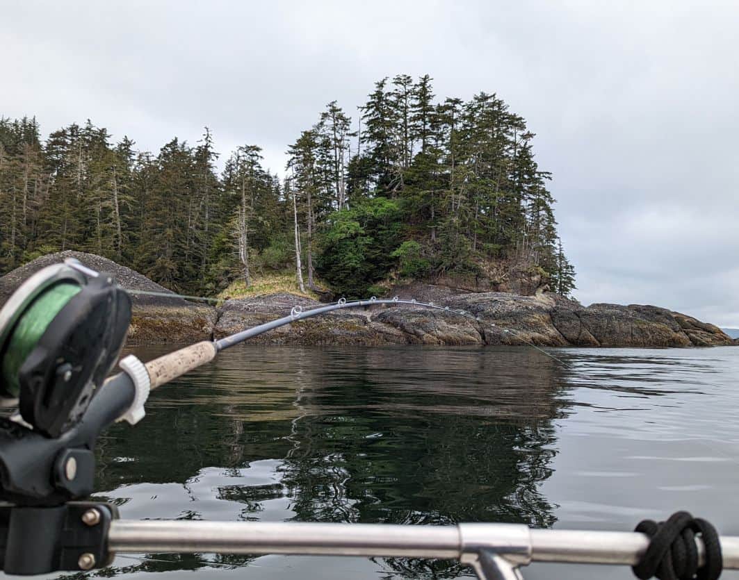 fishing charters in maryland