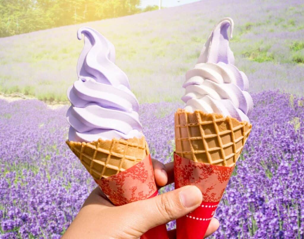 lavender farms in md, lavender icecream