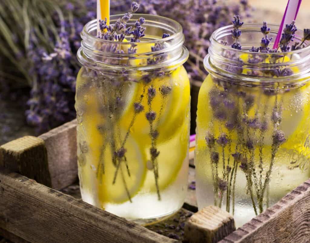 lavender farms in md, lavender lemonade
