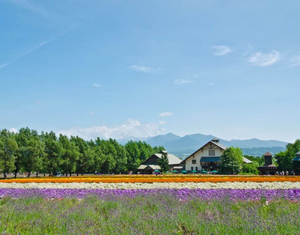 lavender farms in maryland