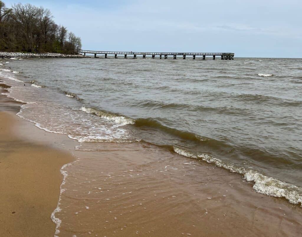 chesapeake bay beaches maryland downs park