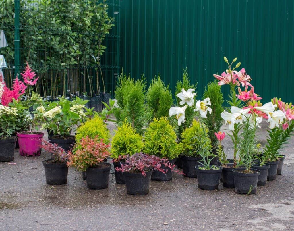 nurseries in maryland