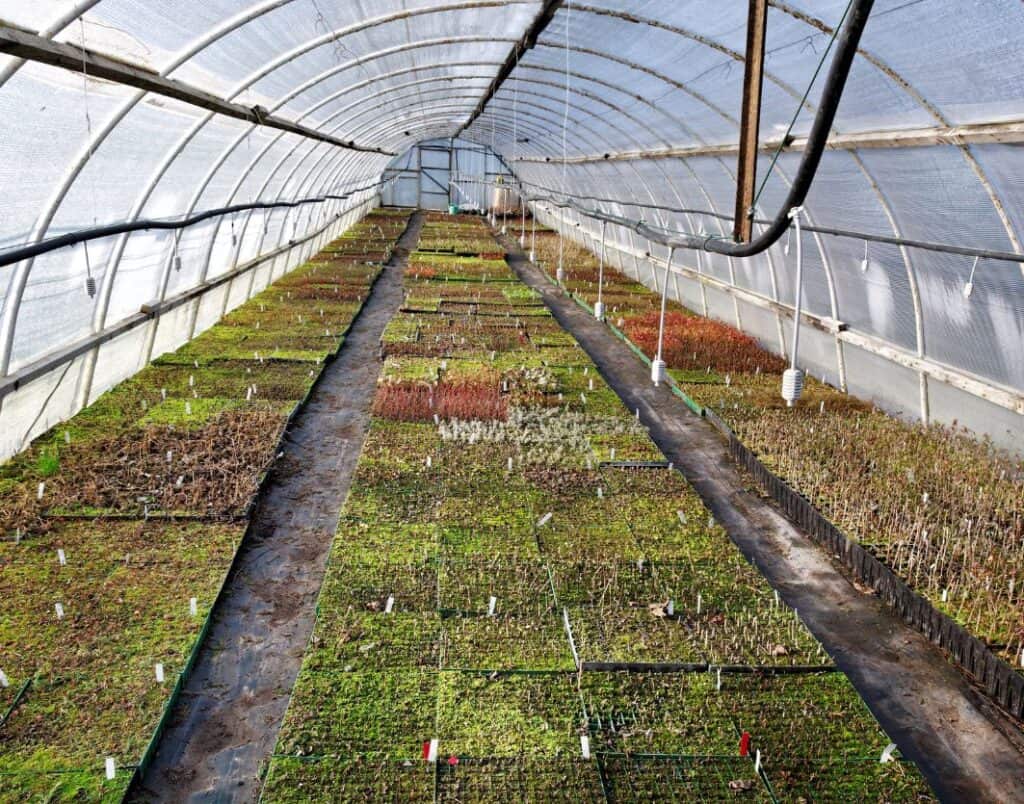nurseries in maryland