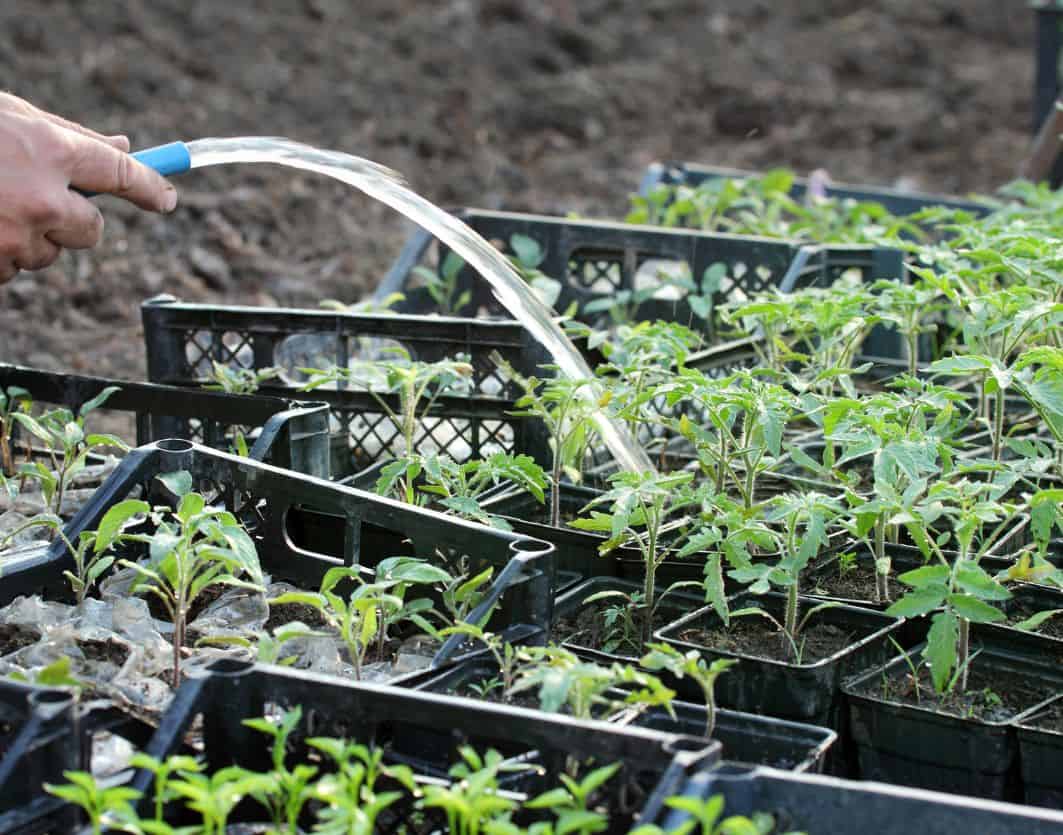 nurseries in maryland