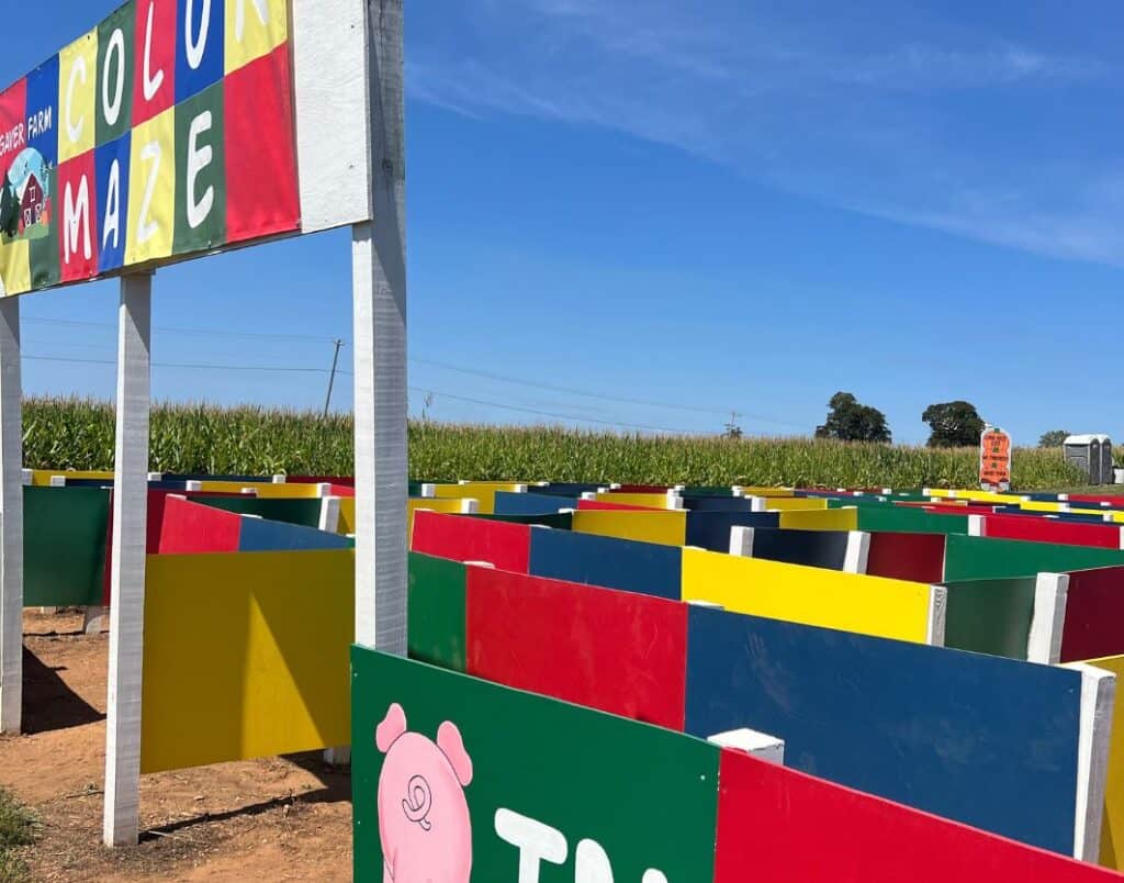 color maze at gaver farms md