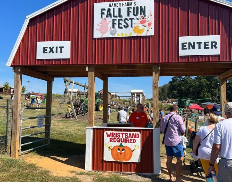 Top 18 reasons to visit Gaver Farms, MD this Fall Festival (2023)