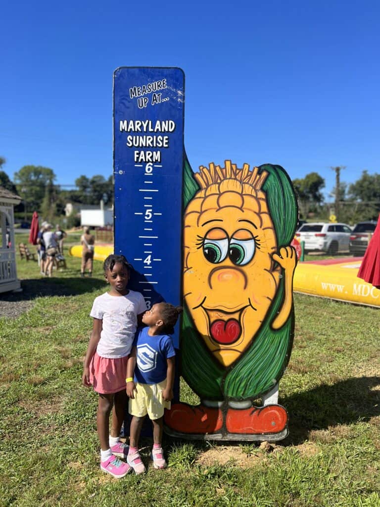 fall festivals in maryland md corn maze
