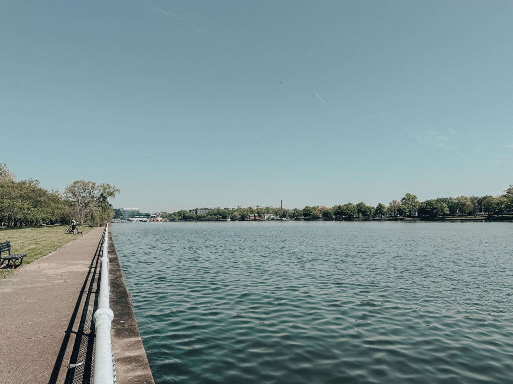 View across the river from East Potomac Park