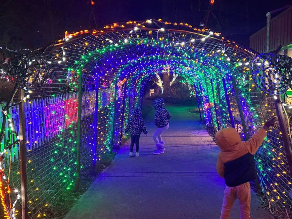 caterpillar Christmas lights in brookside garden