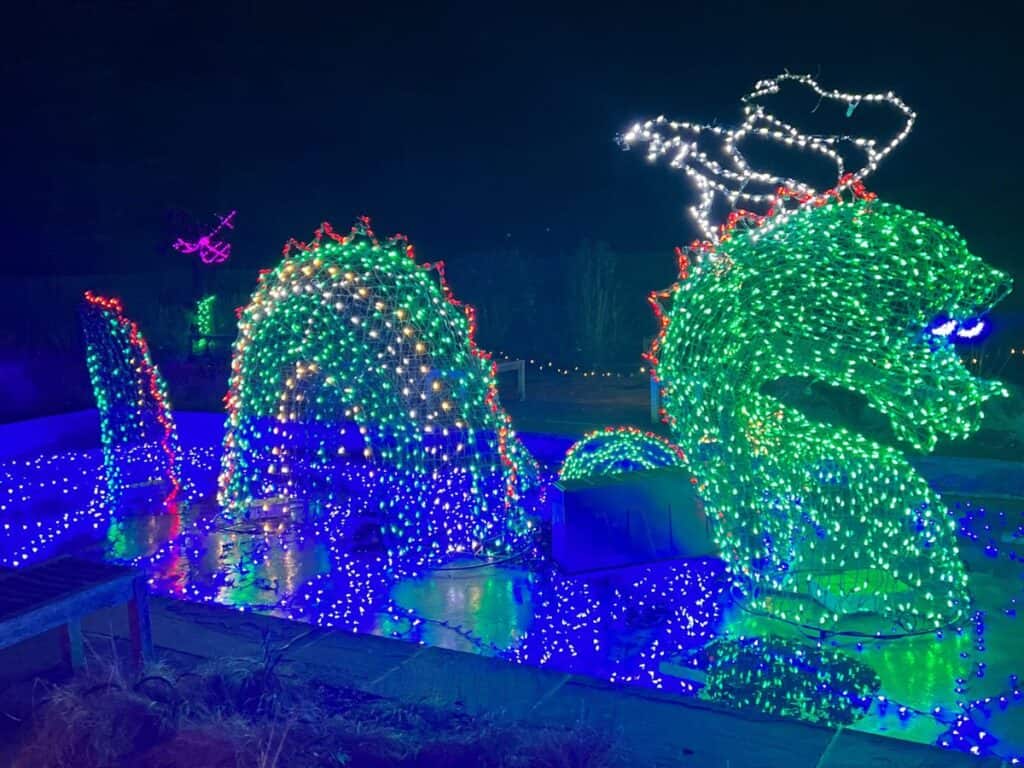 dragon Christmas lights in brookside garden
