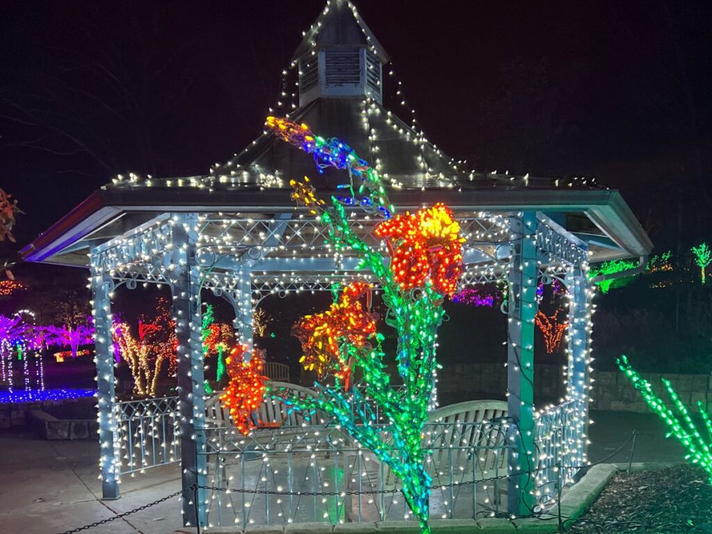 gazebo Christmas lights in brookside garden