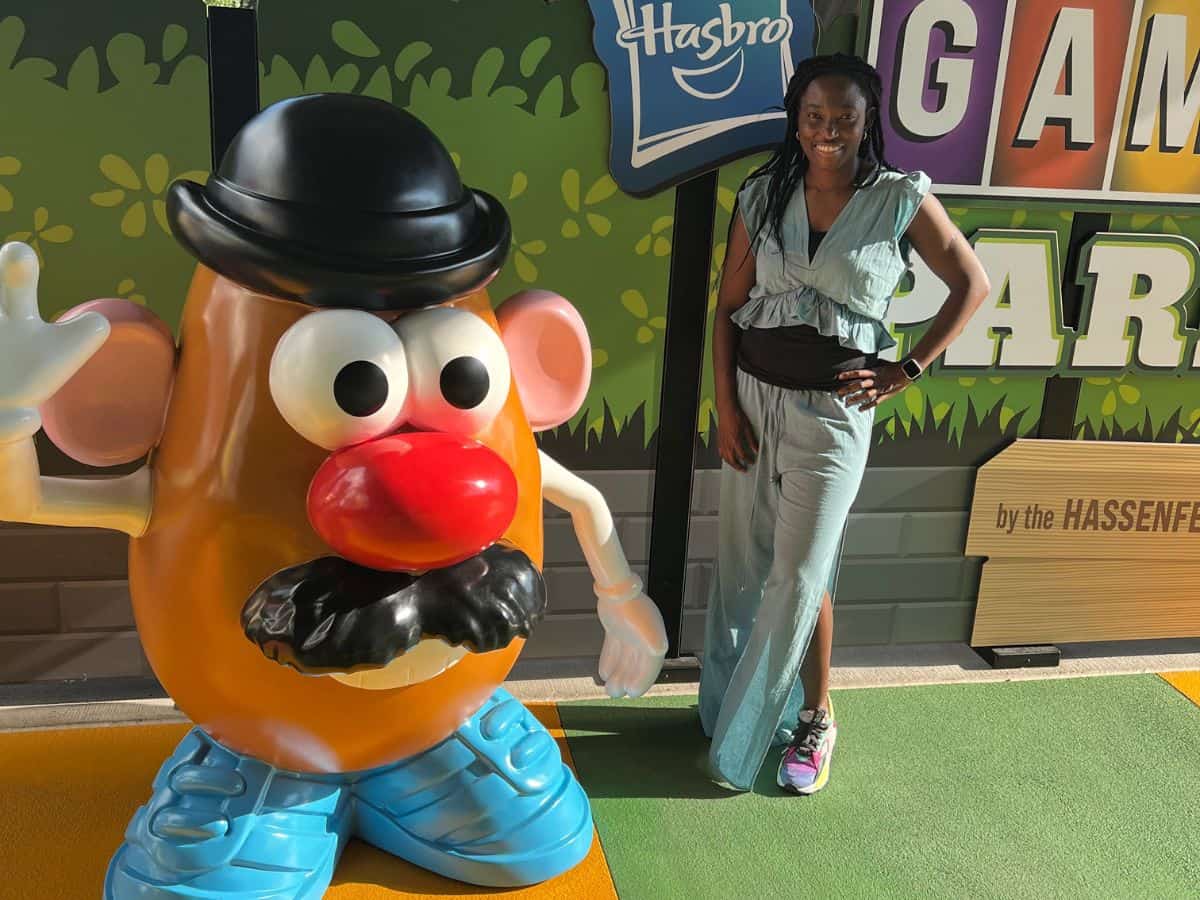 game park at Strong national museum of play