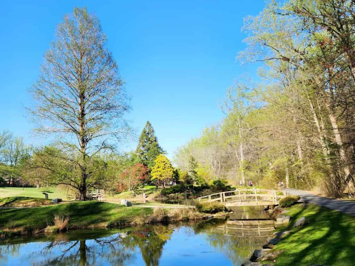free things in maryland brookside garden 2