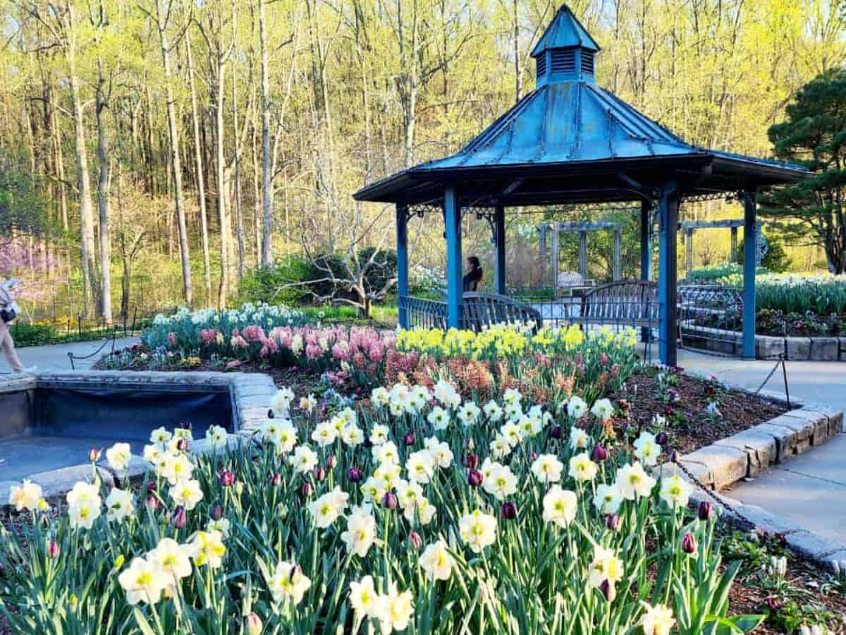 brookside gardens