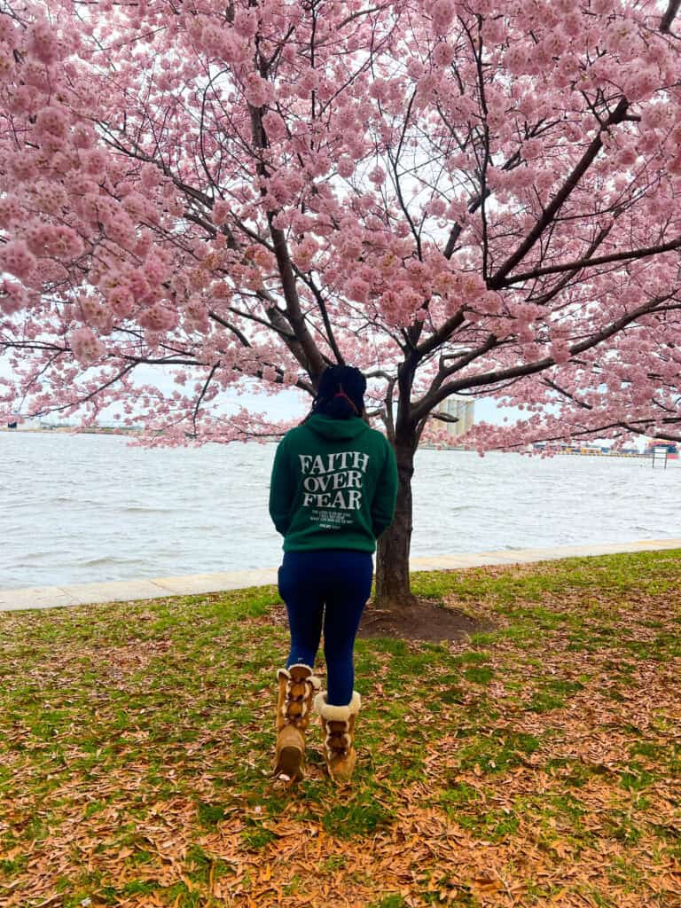 Family-Friendly Things to Do in Maryland This Spring